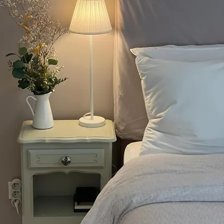 Appartamento Entire Or Private Rooms, Minutes From Geneva, Excellent Location