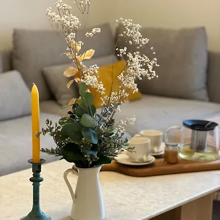 Entire Or Private Rooms, Minutes From Geneva, Excellent Location * Annemasse